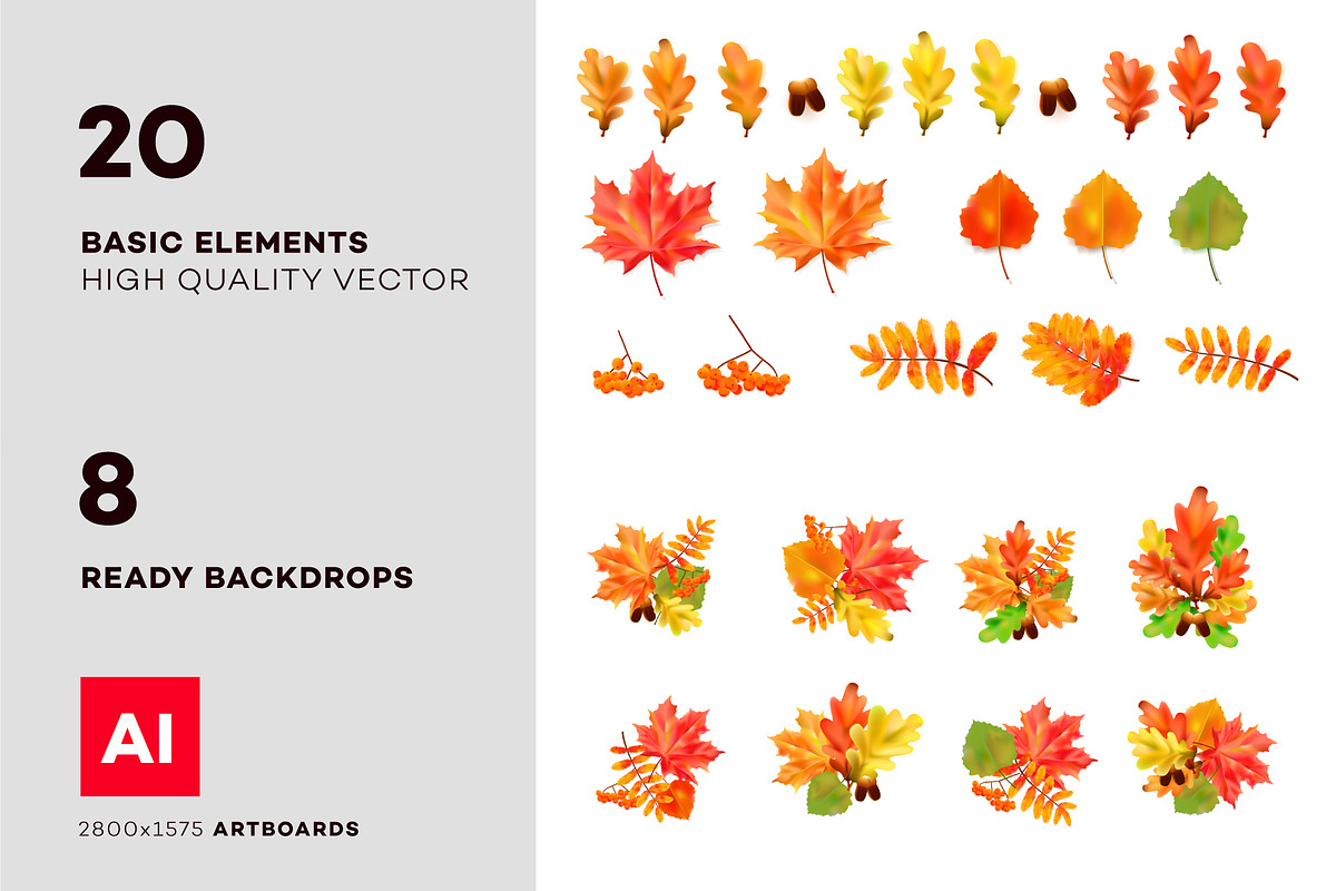 Vector Autumn Leaves, an Object Graphic by Alexey Yarkin