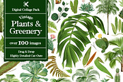 Vintage Collage Creator 1000+ Images, an Object Graphic by Collage Supply Co (Thumbnail 10 of 21)
