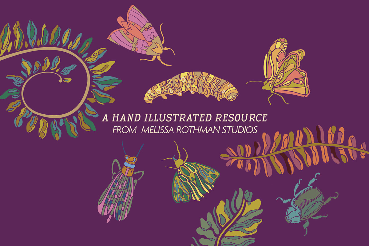 Flutter & Crawl Vector Pack, a Graphic by Melissa Rothman Studios (Photo 3 of 3)