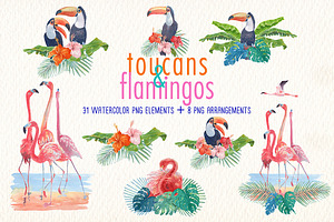 Toucans And Flamingos Watercolor Set