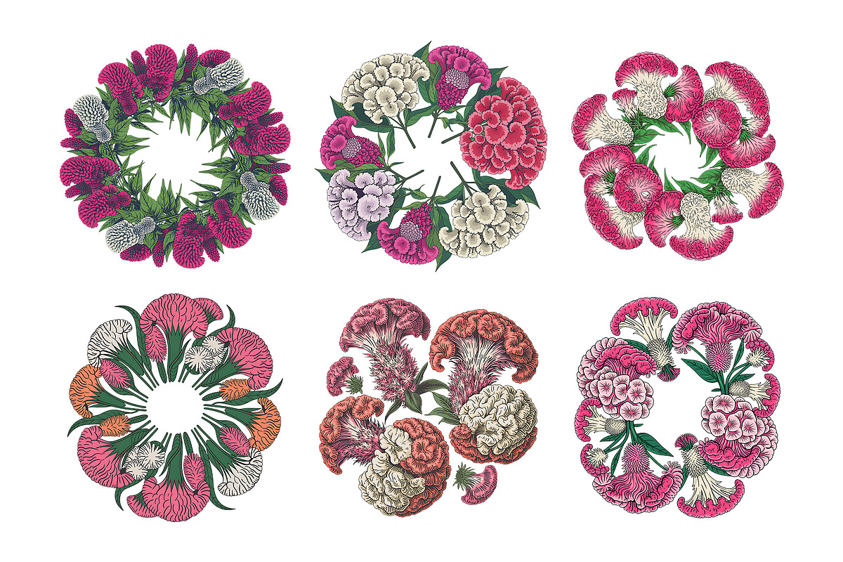 Boho Watercolor Floral Clipart Set, a Decorative Illustration by ForhadGFX (Photo 12 of 12)