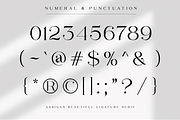 Asbigan, a Serif Font by Sealoung (Thumbnail 12 of 21)
