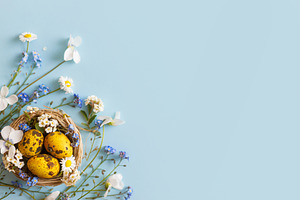 Easter flat lay. Stylish easter eggs and spring flowers in nest, a Holiday Photo by Sonjachni