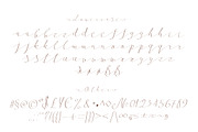 Follow script, a Script Font by Fontop (Thumbnail 9 of 9)