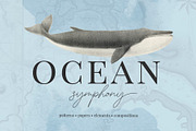 Ocean Symphony vintage design set, an Object Graphic by Beauty Drops (Thumbnail 1 of 13)