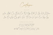 Castlegar Script, a Script Font by FactoryType Studio (Thumbnail 9 of 12)