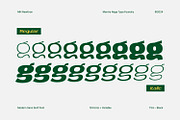 MN Newthon - Versatile Variable Font, a Sans Serif Font by Mantra Naga (Thumbnail 3 of 20)