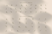 Amilea Elegant Serif Font, a Serif Font by Graphicxell (Thumbnail 7 of 7)