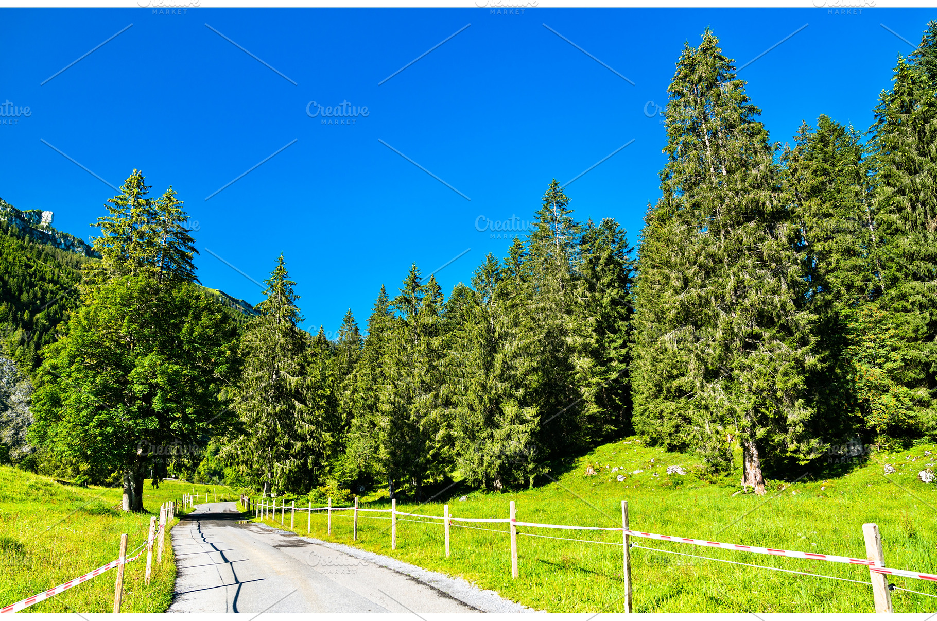Road in the Obersee Valley in, a Nature Photo by Leonid Andronov