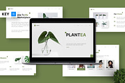 Plantea - Keynote Templates, a Presentation Template by Deepslide Studio (Thumbnail 1 of 5)
