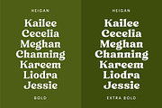 Heigan - Retro Font Family, a Serif Font by Grezline Studio (Thumbnail 9 of 13)