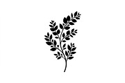 Eucalyptus Foliage Silhouette Set, an Object Graphic by Designs_River (Thumbnail 2 of 3)