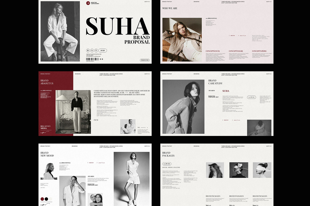 Suha | Brand Proposal Template, a Presentation Template by Pradaxa (Photo 4 of 6)