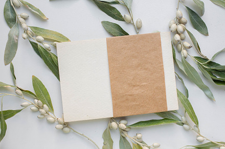 card with silverberry., an Arts & Entertainment Photo by Arymer