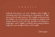 Nogifle Beauty Serif Font, a Serif Font by AuthenType (Thumbnail 2 of 14)