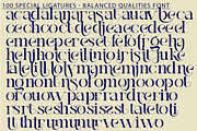 Balanced Qualities - Elegant Font, a Serif Font by 177Studio (Thumbnail 7 of 8)