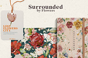 Watercolor Flower Collection, a Decorative Illustration by Damian Roh (Thumbnail 18 of 19)