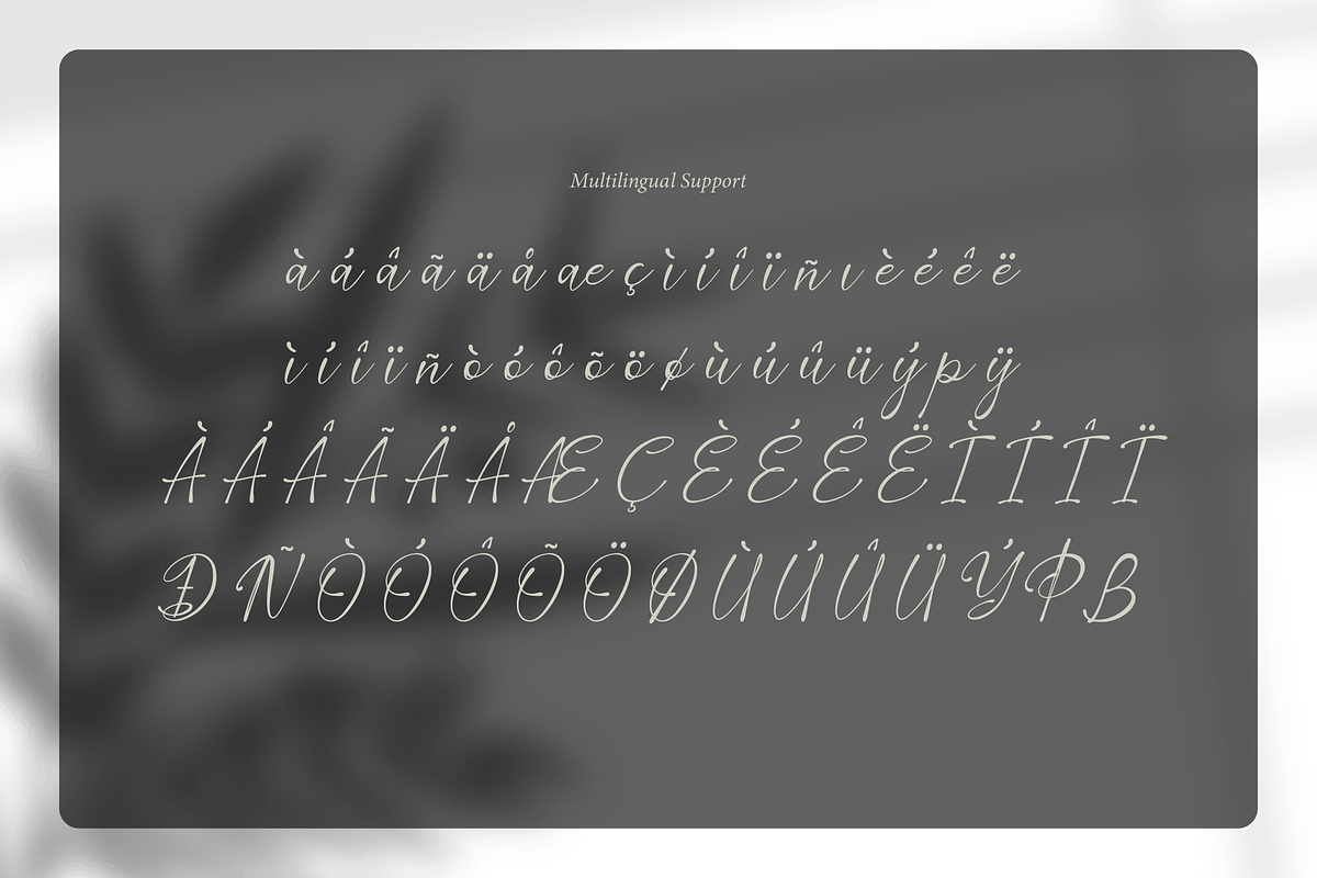 Corlenois Signature | Signature Font, a Script Font by gracetype_studio (Photo 14 of 15)