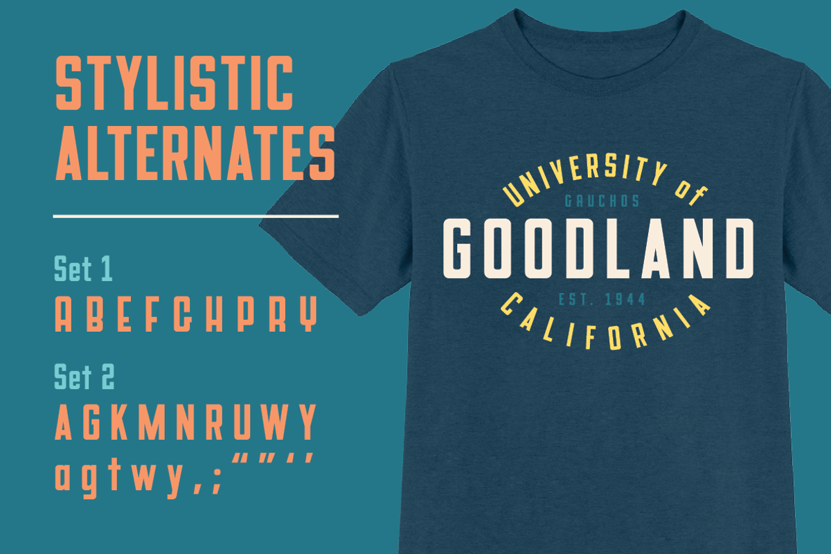 Goodland Condensed Text fonts, a Sans Serif Font by Swell Type (Photo 6 of 6)