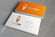 Carrot Labs Logo Template, a Branding & Logo Template by Grapixy (Thumbnail 4 of 4)