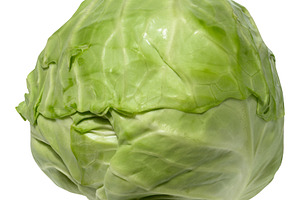 A whole fresh green cabbage with crisp leaves, isolated on a whi, a Food & Drink Photo by ndanko