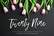 Twenty Nine Font + Bonus, a Script Font by Flycatcher Design (Thumbnail 1 of 7)