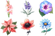 Birth Month Flower Clipart, an Illustration by Watercolor design (Thumbnail 4 of 5)