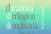 Erangle, a Serif Font by Gatype (Thumbnail 5 of 9)