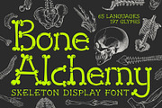 Bone Alchemy - Skeleton Typeface, a Handwritten Font by HipFonts (Thumbnail 1 of 8)