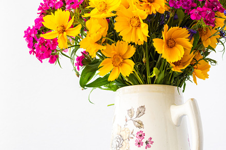 Beautiful summer flowers, a Nature Photo by Pandateam