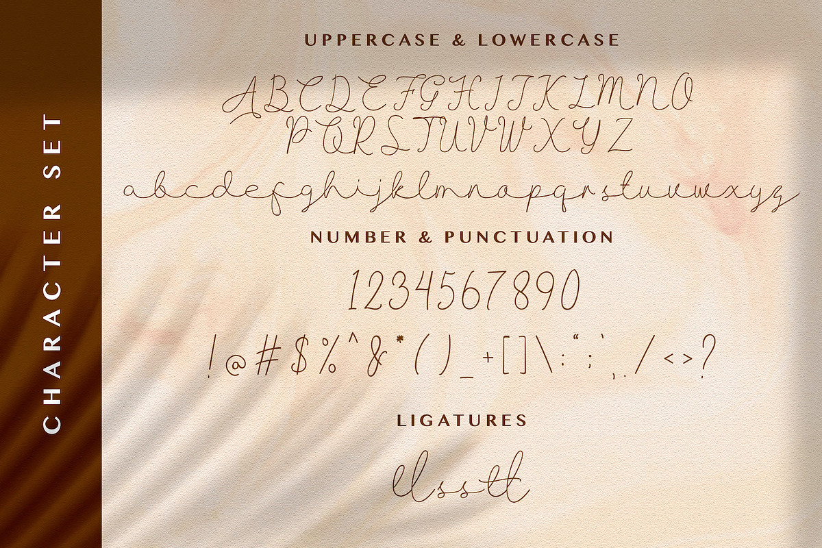 Allise - Signature Script Font, a Script Font by StringLabs (Photo 8 of 10)