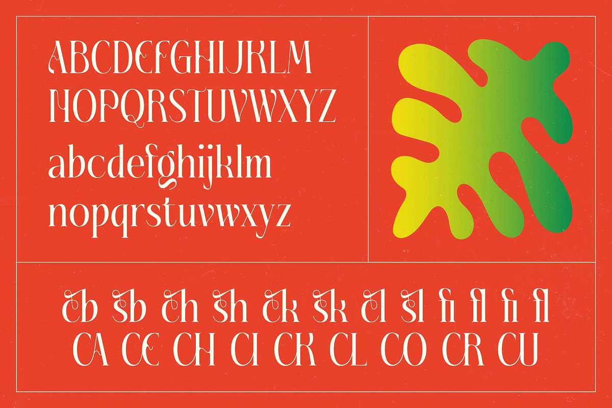 Fading Husker Modern Serif Font, a Serif Font by timelesstype.co (Photo 18 of 20)