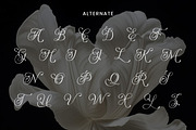 BrikeyMoura–Timeless Aesthetic Serif, a Font by roomspace creative lab (Thumbnail 5 of 12)