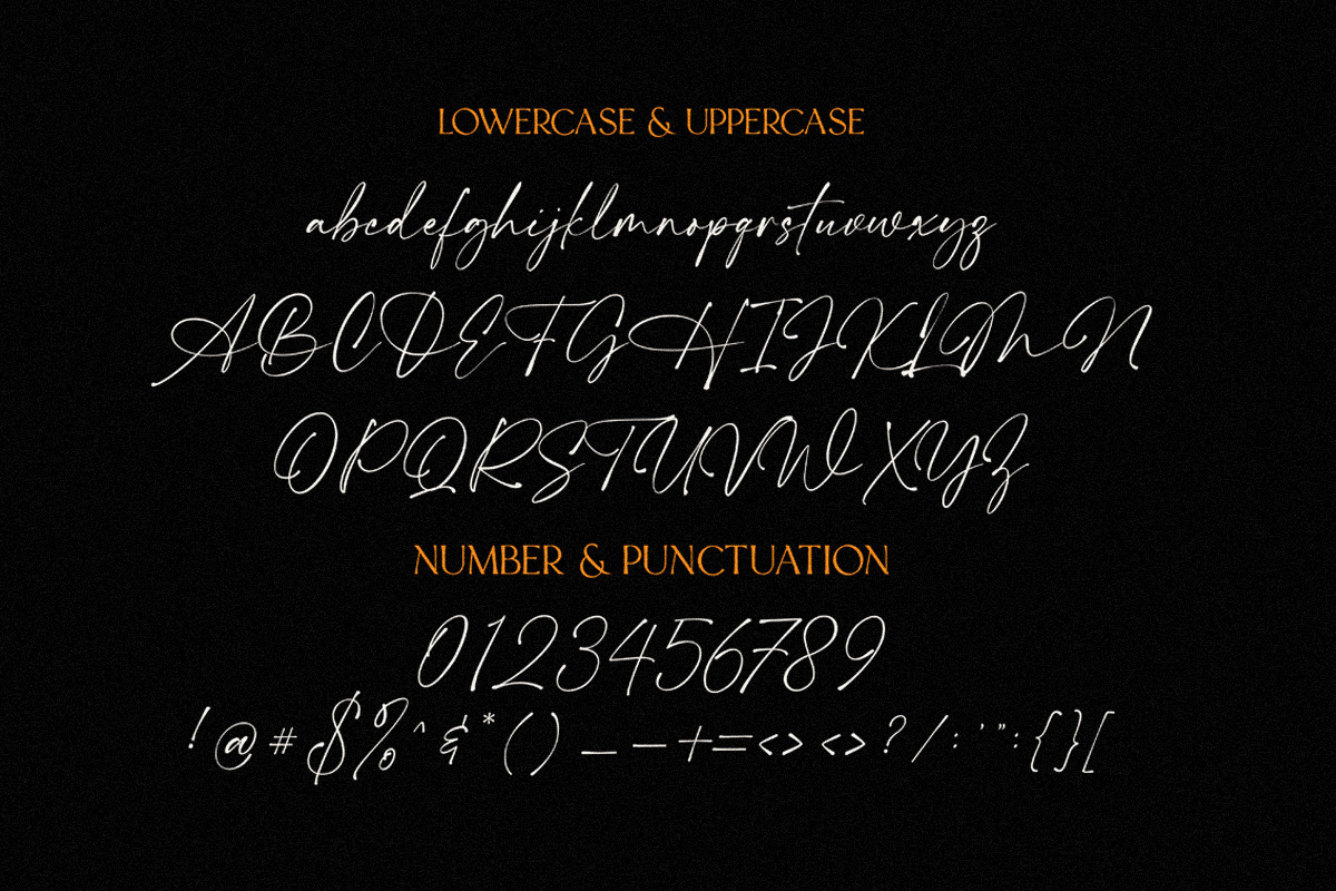 Modern Sensation | Pair Font, a Handwritten Font by typeline studio (Photo 13 of 14)