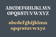 Mogena - Modern Serif Font, a Serif Font by Kulokale (Thumbnail 9 of 13)