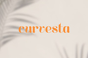 Curvesta – Display Font, a Serif Font by Colt Type Co (Thumbnail 1 of 7)