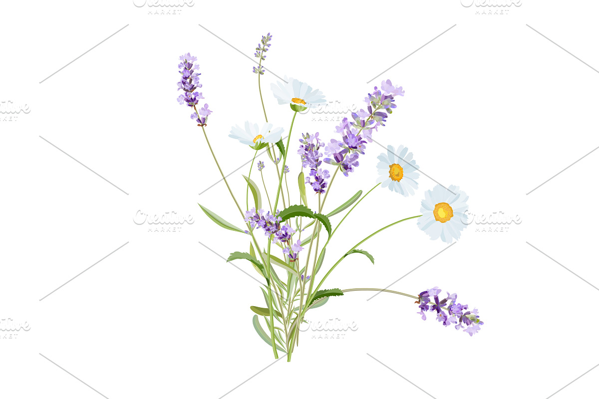 Vector object brushes. Lavender, a Brush Add-On by Peolla (Photo 13 of 13)