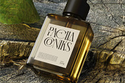 Mashcon || Stylish Serif Font, a Serif Font by Ermedia Studio (Thumbnail 9 of 10)