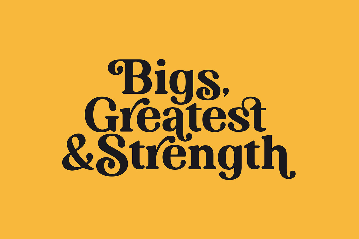 Braveold Font Family preview 4