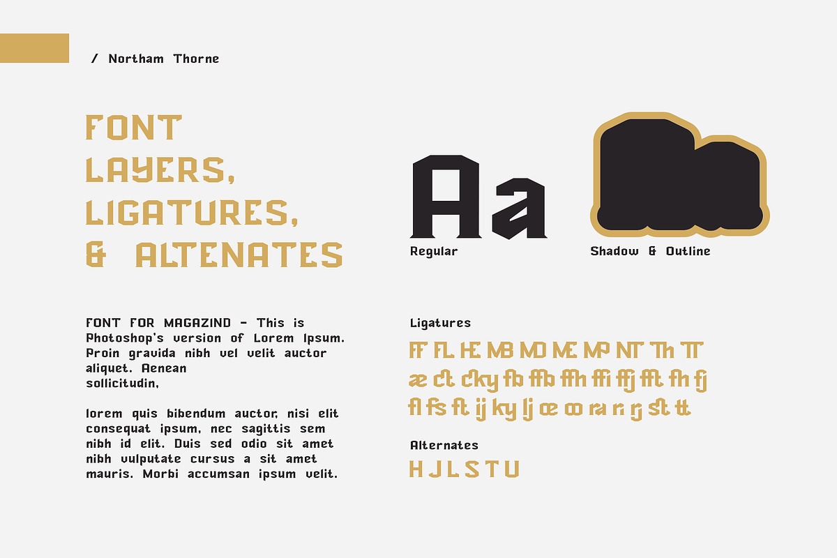 NORTHAM THORNE, a Font by Runsell Studio (Photo 10 of 13)
