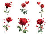Valentine Rose clipart, an Illustration by Designworld (Thumbnail 3 of 4)