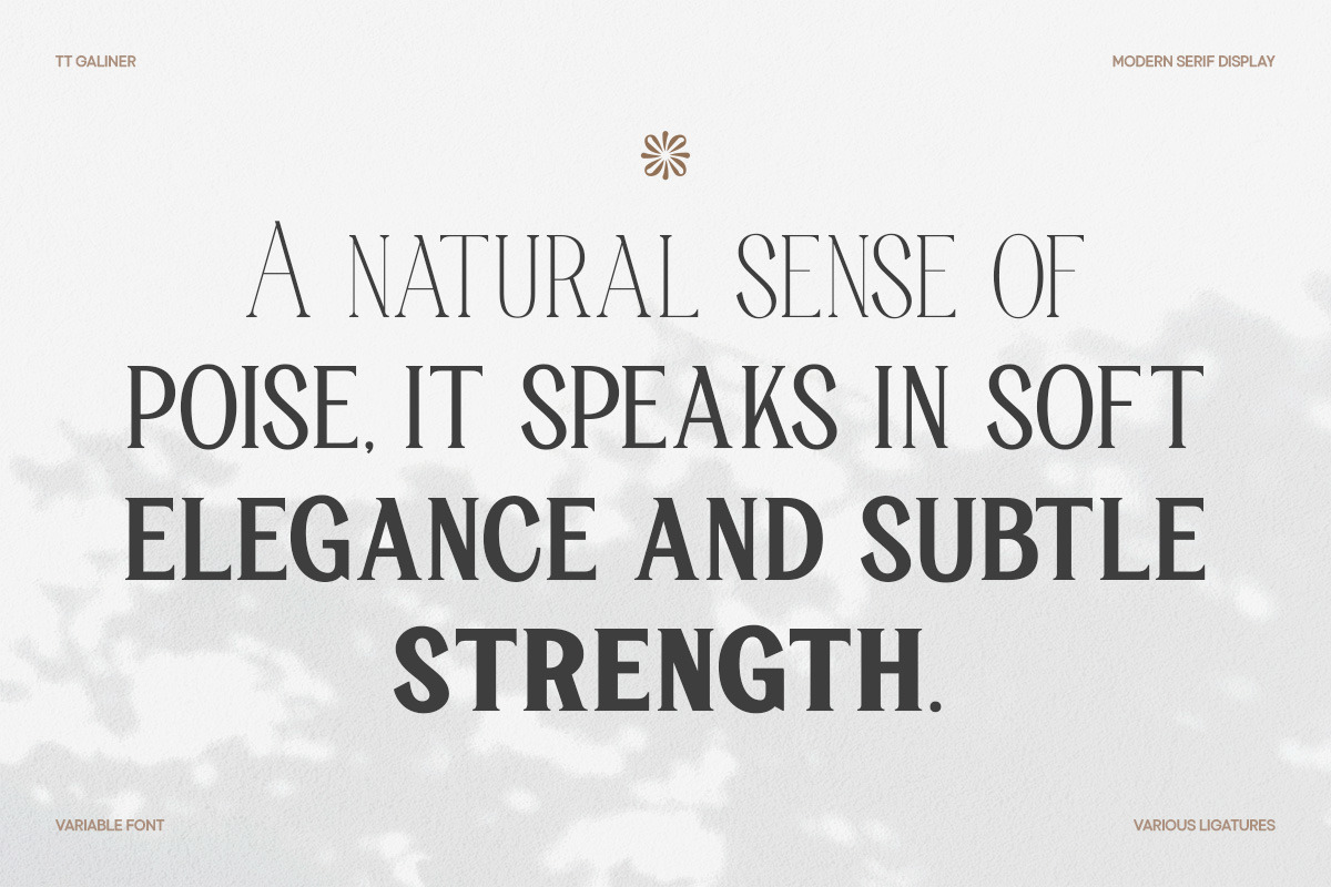 TT Galiner – Timeless Elegance Serif, a Serif Font by truetype (Photo 12 of 15)