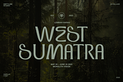 Dx Sillage Elegant Serif Font, a Serif Font by Dirtyline Studio (Thumbnail 15 of 17)