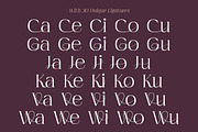 Imperial Aureas a Minimal Serif, a Serif Font by Lettertype Studio (Thumbnail 11 of 16)