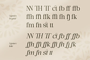 Romens Dawn - Retro Serif Font, a Serif Font by Flawless And Co (Thumbnail 10 of 10)