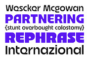 Bolte Sans Serif, a Sans Serif Font by Glowtype (Thumbnail 9 of 15)