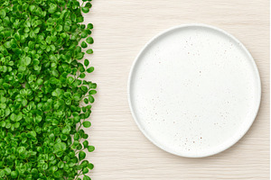 A closeup view of a plate containing, a Food & Drink Photo by ZinetroN
