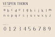 Vesper Thorn - Elegant Editorial, a Serif Font by Colorsfav (Thumbnail 3 of 5)