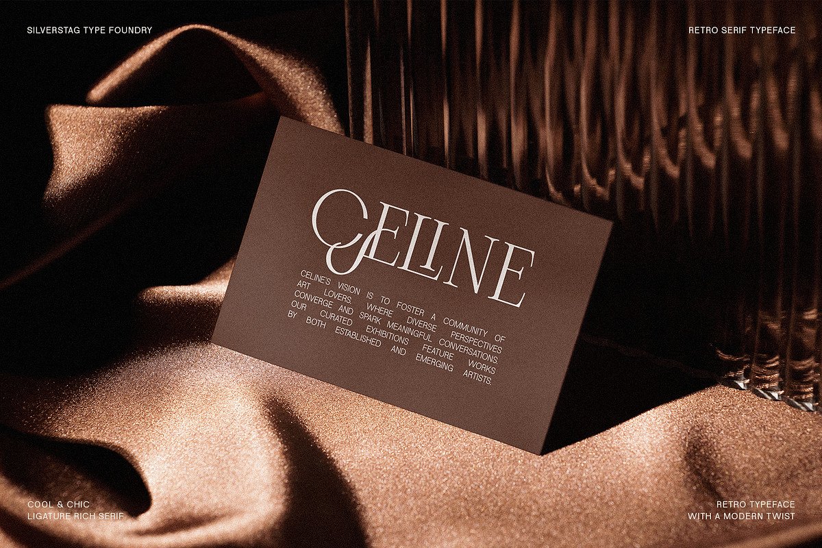 Frosty Garden - Elegant Retro Serif, a Serif Font by SilverStag Type Foundry (Photo 2 of 19)