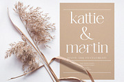 Regina, a Serif Font by ToniStudio (Thumbnail 5 of 8)